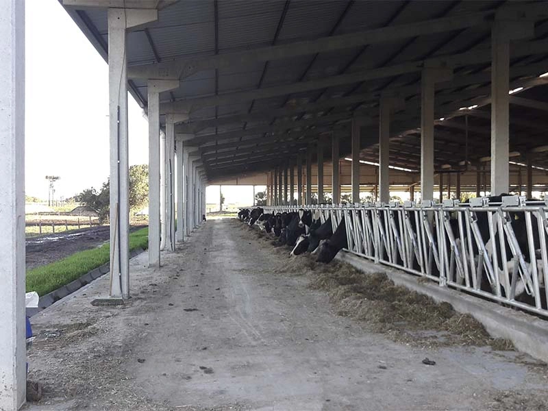 AS Projetos e Pré Moldados